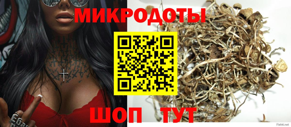 Псилоцибиновые грибы GOLDEN TEACHER Ноябрьск